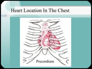 Heart Location In The Chest Precordium 