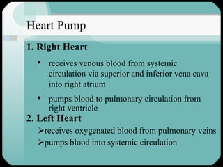 Heart Pump 2. Left Heart receives oxygenated blood from pulmonary veins pumps blood into systemic circulation 1. Right Heart receives venous blood from systemic circulation via superior and inferior vena cava into right atrium pumps blood to pulmonary circulation from right ventricle 