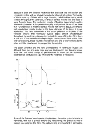 Cardiac muscle fully detail | PDF