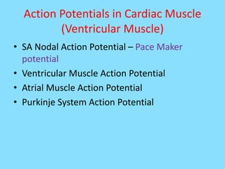 Cardiac muscle (The Guyton and Hall Physiology) | PPTX