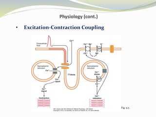 Physiology (cont.)
• Excitation-Contraction Coupling
Fig. 9.5
 