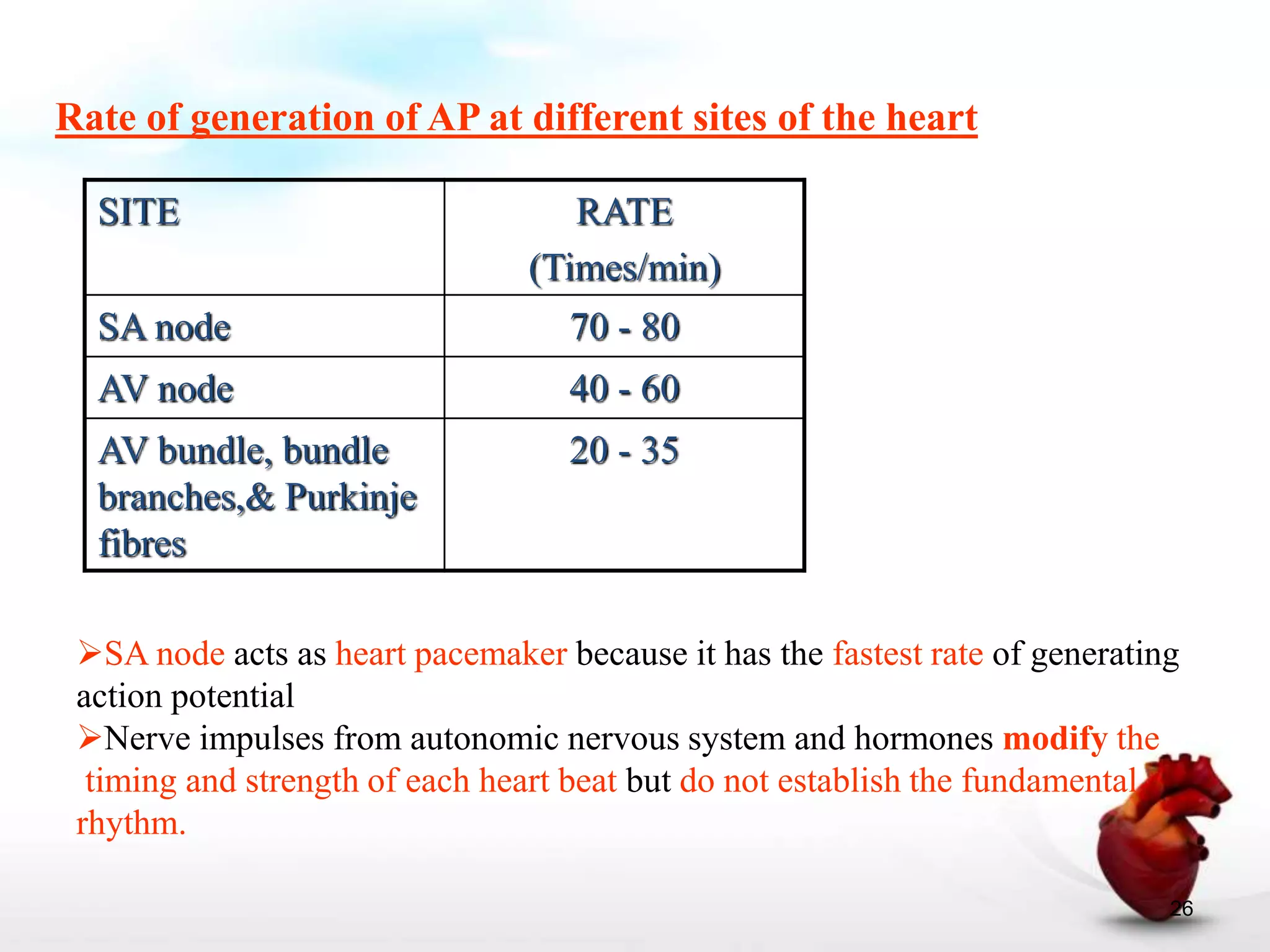 Cardiac muscle physiology | PPTX