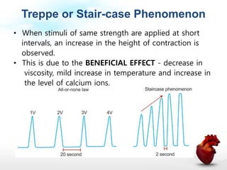 Cardiac muscle physiology | PPTX