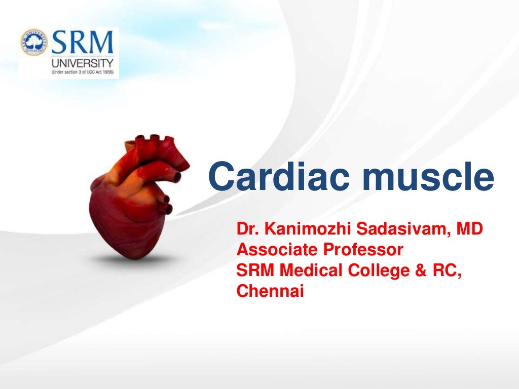 Cardiac muscle physiology