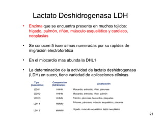 Lactato Deshidrogenasa LDH
• Enzima que se encuentra presente en muchos tejidos:
hígado, pulmón, riñón, músculo esquelético y cardiaco,
neoplasias
• Se conocen 5 isoenzimas numeradas por su rapidez de
migración electroforética
• En el miocardio mas abunda la DHL1
• La determinación de la actividad de lactato deshidrogenasa
(LDH) en suero, tiene variedad de aplicaciones clínicas
21
Tipo
(isoenzima)
Composición
(tetrámeros)
Localización
LDH 1 HHHH Miocardio, eritrocito, riñón, páncreas
LDH 2 HHHM Miocardio, eritrocito, riñón, pulmón
LDH 3 HHMM Pulmón, páncreas, leucocitos, plaquetas
LDH 4 HMMM
Riñones, páncreas, músculo esquelético, placenta
LDH 5 MMMM
Hígado, músculo esquelético, tejido neoplásico
 