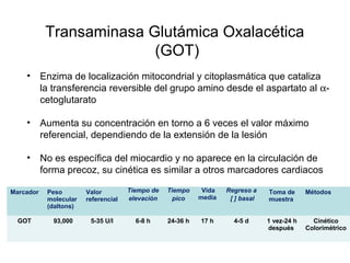 Transaminasa Glutámica Oxalacética
(GOT)
• Enzima de localización mitocondrial y citoplasmática que cataliza
la transferencia reversible del grupo amino desde el aspartato al α-
cetoglutarato
• Aumenta su concentración en torno a 6 veces el valor máximo
referencial, dependiendo de la extensión de la lesión
• No es específica del miocardio y no aparece en la circulación de
forma precoz, su cinética es similar a otros marcadores cardiacos
Marcador Peso
molecular
(daltons)
Valor
referencial
Tiempo de
elevación
Tiempo
pico
Vida
media
Regreso a
[ ] basal
Toma de
muestra
Métodos
GOT 93,000 5-35 U/l 6-8 h 24-36 h 17 h 4-5 d 1 vez-24 h
después
Cinético
Colorimétrico
 