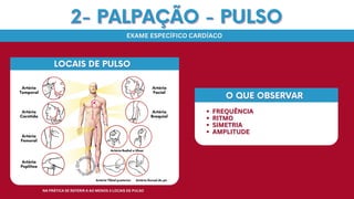 2- PALPAÇÃO - PULSO
2- PALPAÇÃO - PULSO
EXAME ESPECÍFICO CARDÍACO
EXAME ESPECÍFICO CARDÍACO
FREQUÊNCIA
FREQUÊNCIA
RITMO
RITMO
SIMETRIA
SIMETRIA
AMPLITUDE
AMPLITUDE
O QUE OBSERVAR
O QUE OBSERVAR
NA PRÁTICA SE REFERIR A AO MENOS 3 LOCAIS DE PULSO
NA PRÁTICA SE REFERIR A AO MENOS 3 LOCAIS DE PULSO
LOCAIS DE PULSO
LOCAIS DE PULSO
 