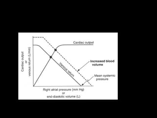 Cardiac output | PPT