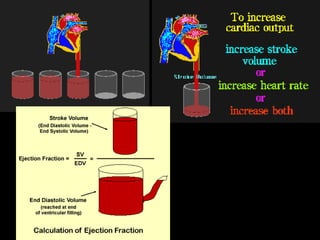 Cardiac output | PPT