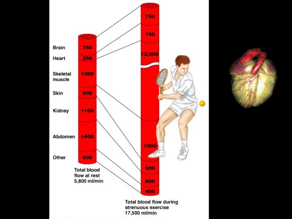 Cardiac Output Chart