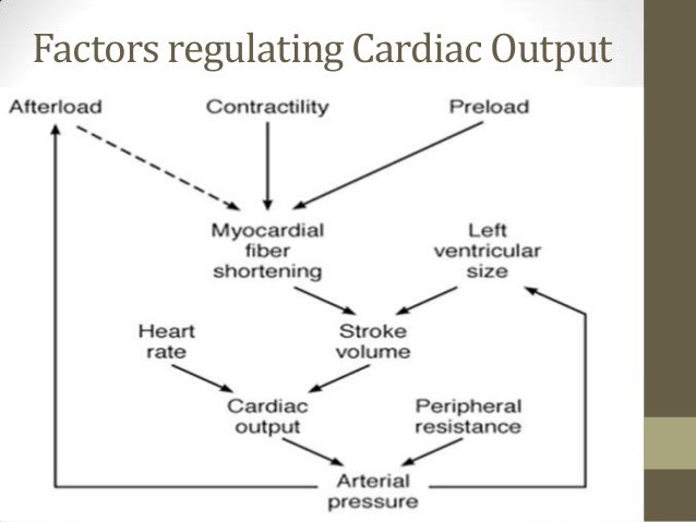 Cardiac output