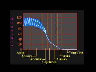 CardiacOutput.ppt
