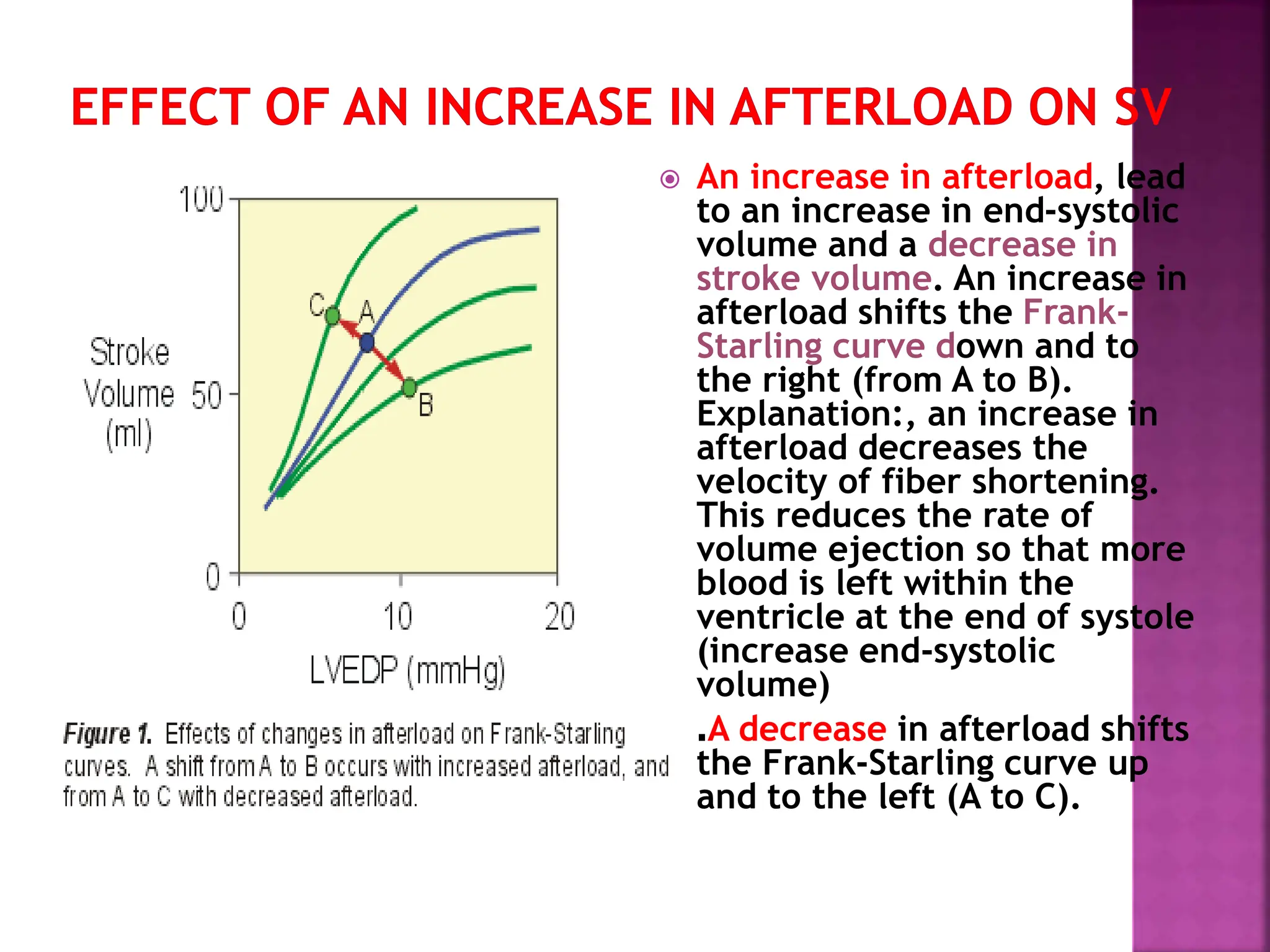  An increase in afterload, lead
to an increase in end-systolic
volume and a decrease in
stroke volume. An increase in
afterload shifts the Frank-
Starling curve down and to
the right (from A to B).
Explanation:, an increase in
afterload decreases the
velocity of fiber shortening.
This reduces the rate of
volume ejection so that more
blood is left within the
ventricle at the end of systole
(increase end-systolic
volume)
.A decrease in afterload shifts
the Frank-Starling curve up
and to the left (A to C).
 