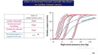 cardiac output.pptx cardiology physiology | PPTX