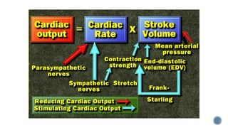 Cardiac Output details assessment anatomy.pptx
