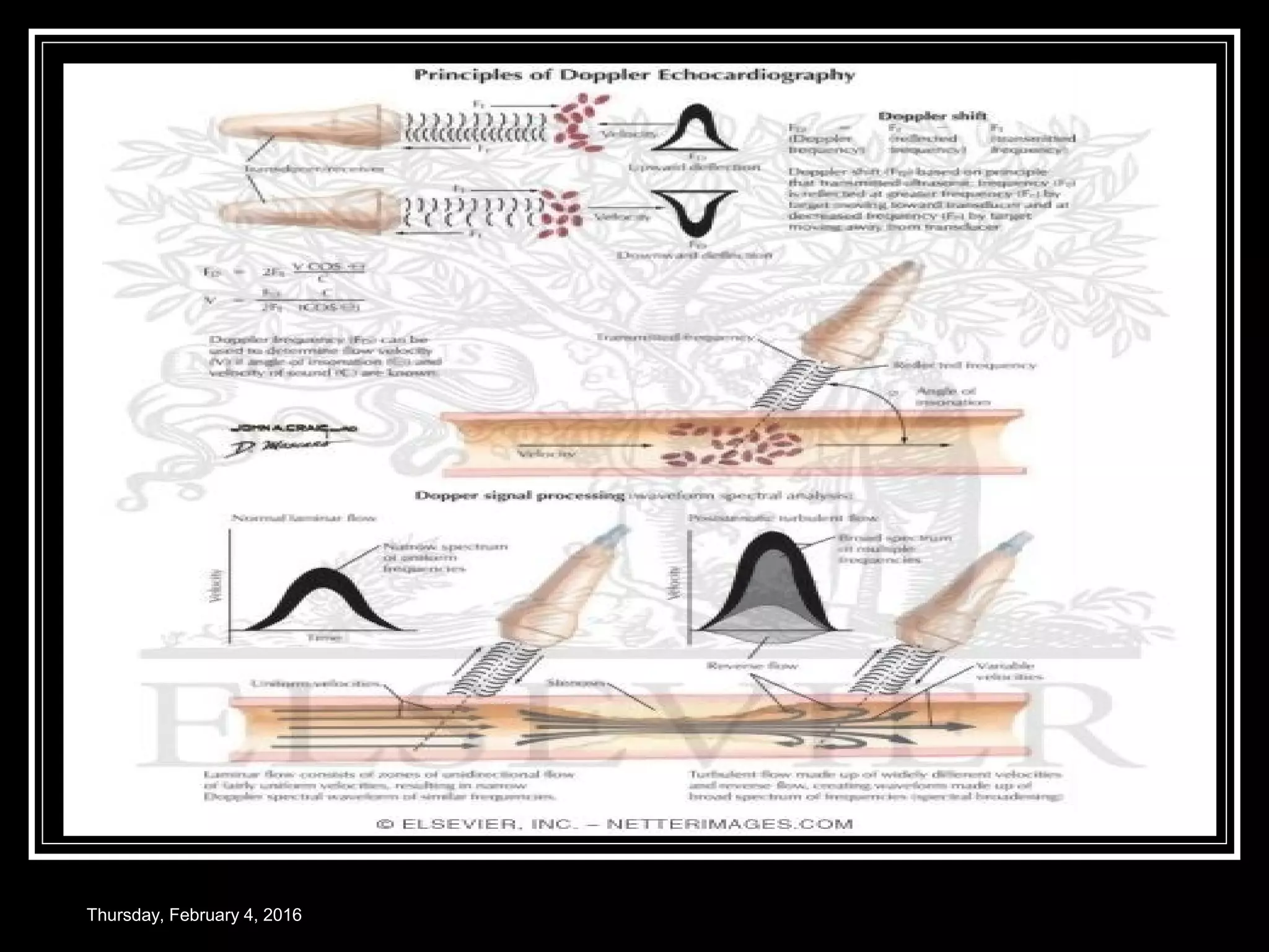Thursday, February 4, 2016
 