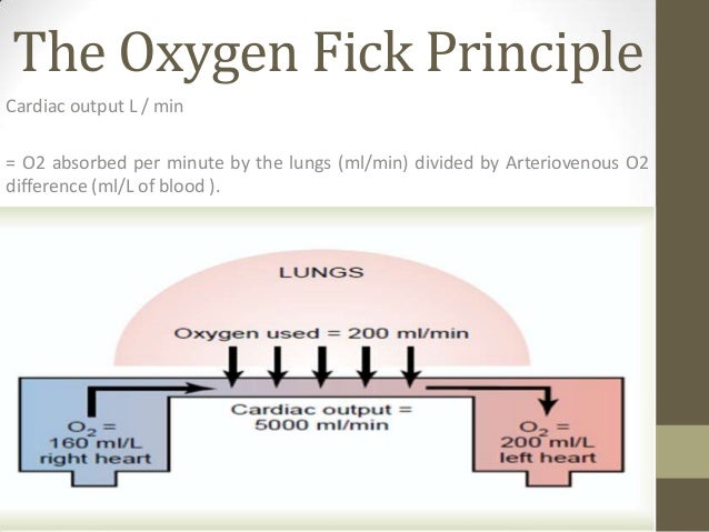 Cardiac output 2 brachial vein diagram 