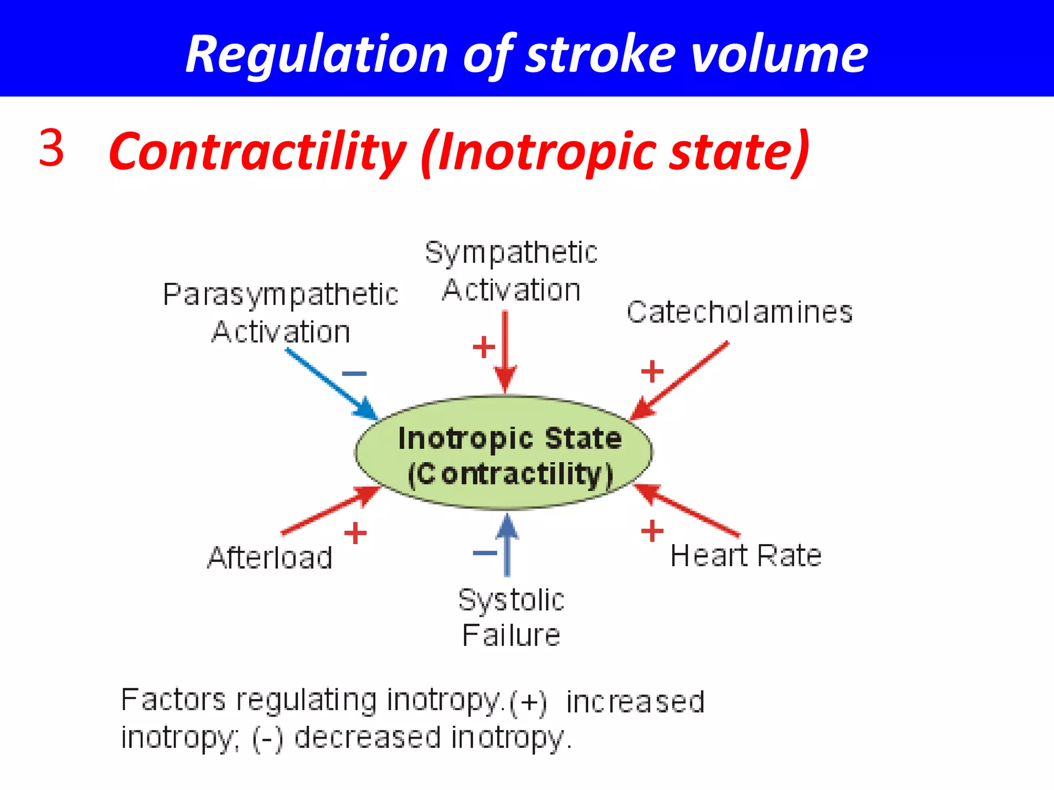Regulation of stroke volume
3 Contractility (Inotropic state)
 