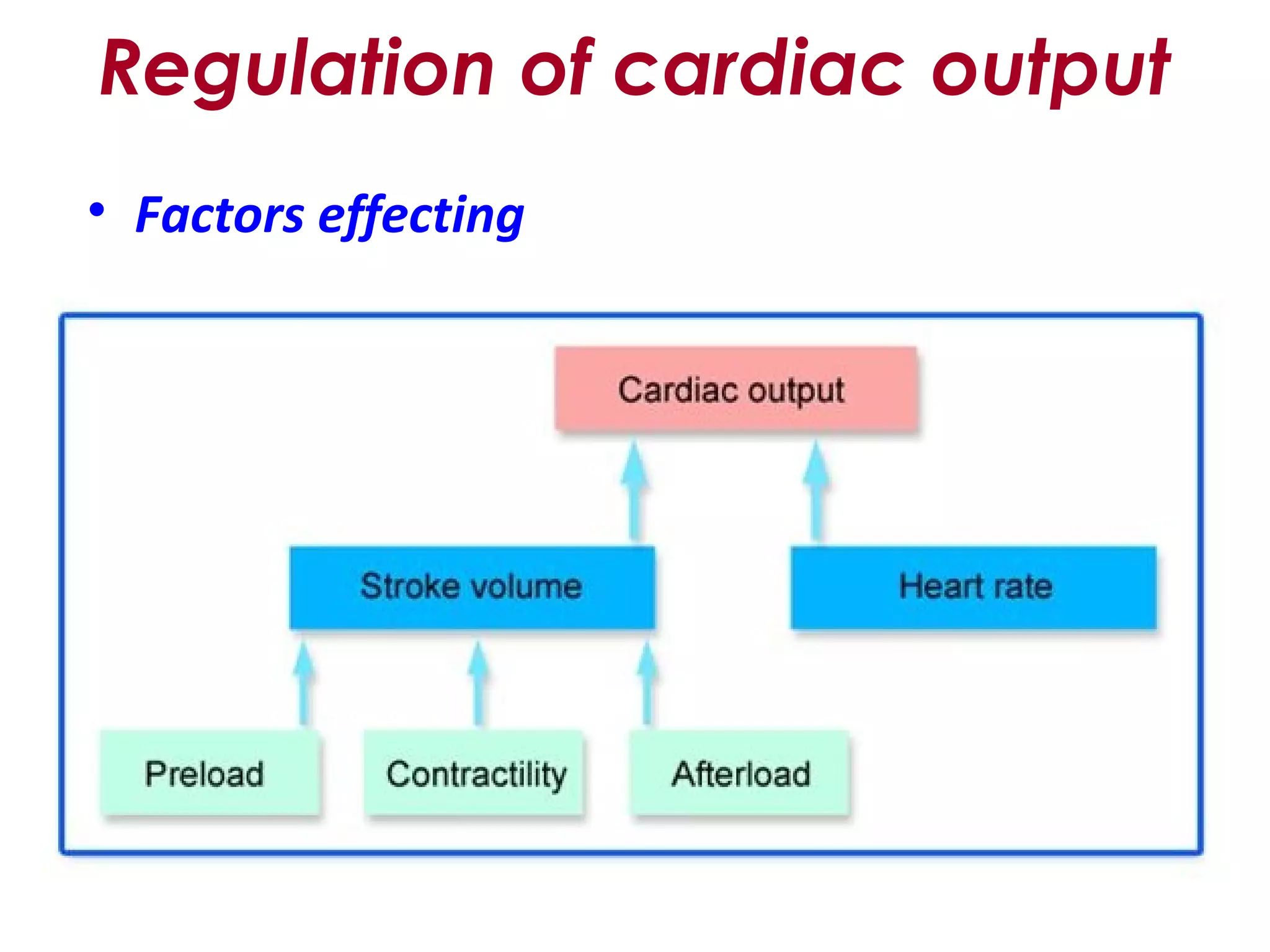 Regulation of cardiac output
• Factors effecting
 