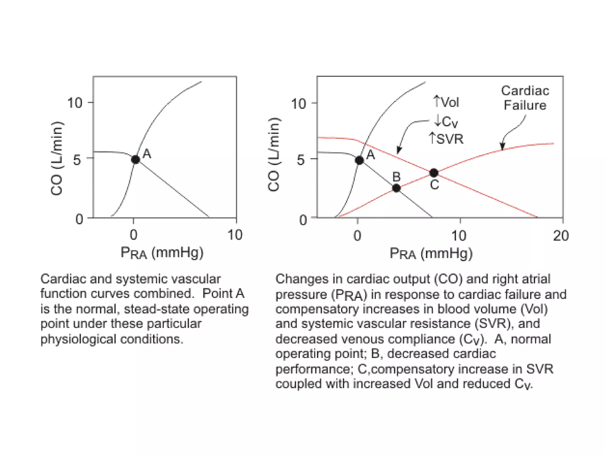 Cardiac output and venous return