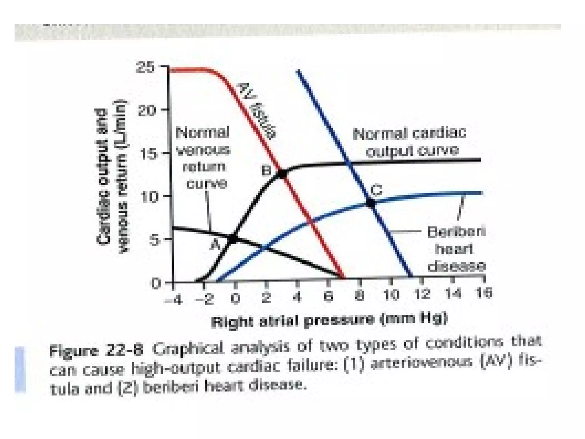 Cardiac output and venous return