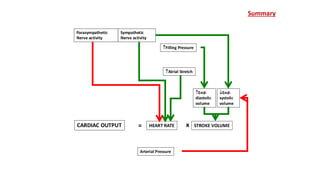 CARDIAC OUTPUT STROKE VOLUME
Arterial Pressure
Filling Pressure
Atrial Stretch
Parasympathetic
Nerve activity
End-
diastolic
volume
HEART RATE
Sympathetic
Nerve activity
End-
systolic
volume
= x
Summary
 