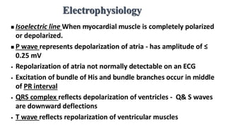 Electrophysiology
◼ Isoelectric line When myocardial muscle is completely polarized
or depolarized.
◼ P wave represents depolarization of atria - has amplitude of ≤
0.25 mV
• Repolarization of atria not normally detectable on an ECG
• Excitation of bundle of His and bundle branches occur in middle
of PR interval
• QRS complex reflects depolarization of ventricles - Q& S waves
are downward deflections
• T wave reflects repolarization of ventricular muscles
 