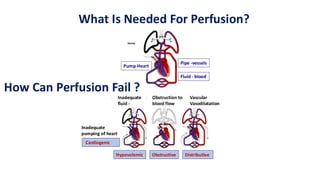 Pump-Heart
Pipe -vessels
Fluid - blood
What Is Needed For Perfusion?
How Can Perfusion Fail ?
• Inadequate
fluid -
• Vascular
Vasodilatation
• Obstruction to
blood flow
Cardiogenic
Hypovolemic Obstructive Distributive
Inadequate
pumping of heart
 