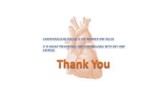 Cardiac Output & Heart Rate introduction