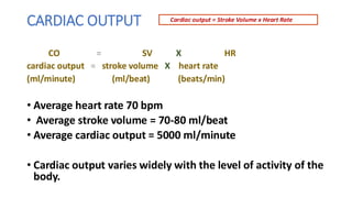 CARDIAC OUTPUT
CO = SV X HR
cardiac output = stroke volume X heart rate
(ml/minute) (ml/beat) (beats/min)
• Average heart rate 70 bpm
• Average stroke volume = 70-80 ml/beat
• Average cardiac output = 5000 ml/minute
• Cardiac output varies widely with the level of activity of the
body.
Cardiac output = Stroke Volume x Heart Rate
 