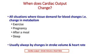 When does Cardiac Output
Change?
• All situations where tissue demand for blood changes i.e.
change in metabolism
• Exercise
• Pregnancy
• After a meal
• Sleep
• Usually always by changes in stroke volume & heart rate
Cardiac output = Stroke Volume x Heart Rate
 