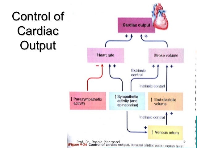 Cardiac out put i (2016 2017)