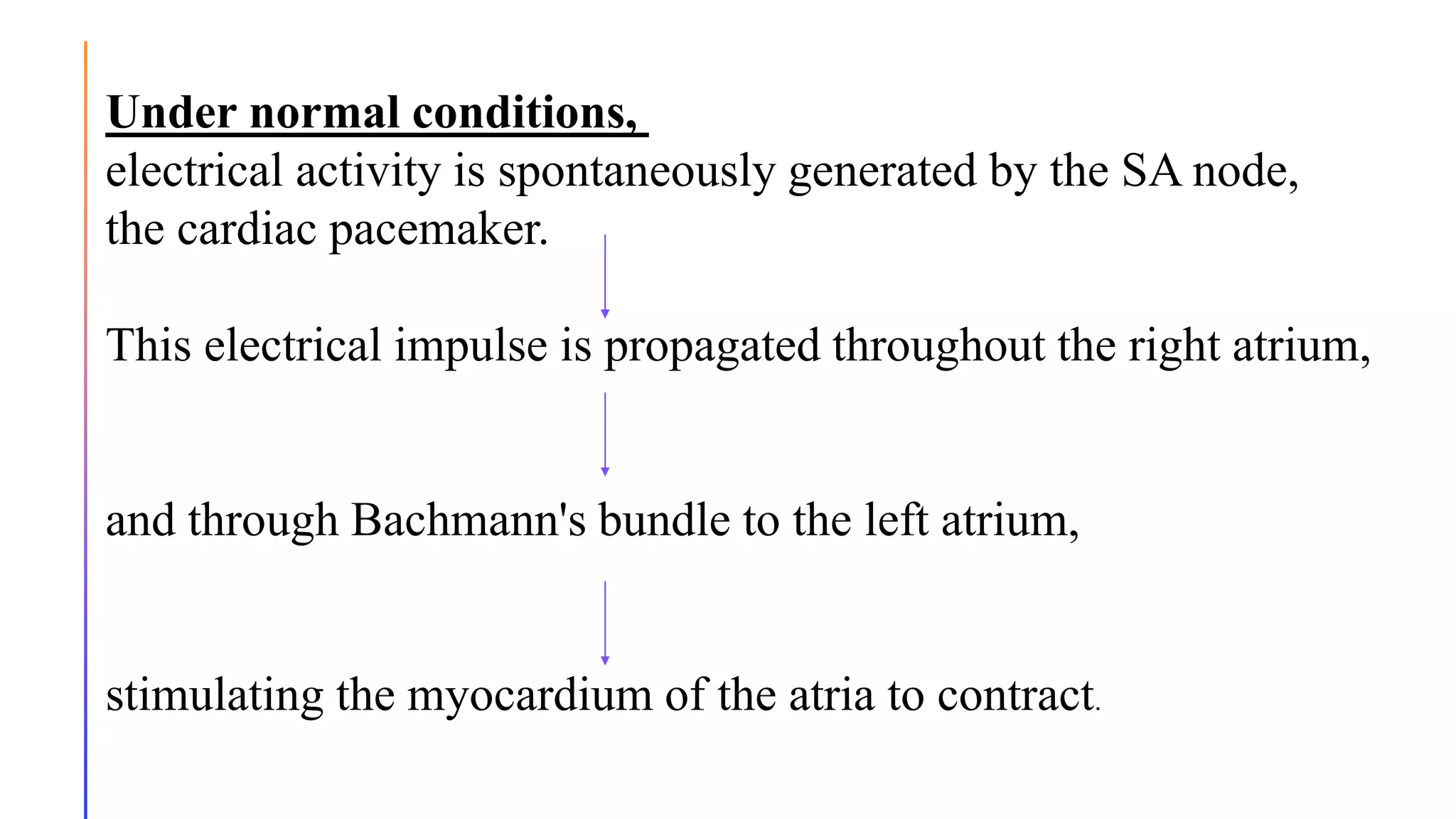 Under normal conditions,
electrical activity is spontaneously generated by the SA node,
the cardiac pacemaker.
This electrical impulse is propagated throughout the right atrium,
and through Bachmann's bundle to the left atrium,
stimulating the myocardium of the atria to contract.
 