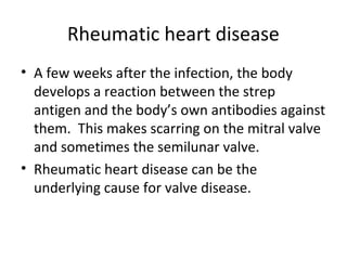 Rheumatic heart disease
• A few weeks after the infection, the body
develops a reaction between the strep
antigen and the body’s own antibodies against
them. This makes scarring on the mitral valve
and sometimes the semilunar valve.
• Rheumatic heart disease can be the
underlying cause for valve disease.

 