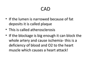 CAD
• If the lumen is narrowed because of fat
deposits it is called plaque
• This is called atherosclerosis
• If the blockage is big enough it can block the
whole artery and cause ischemia- this is a
deficiency of blood and O2 to the heart
muscle which causes a heart attack!

 