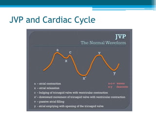 JVP and Cardiac Cycle
 