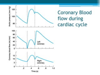 Coronary Blood
flow during
cardiac cycle
 