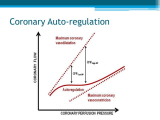 Coronary Auto-regulation
 