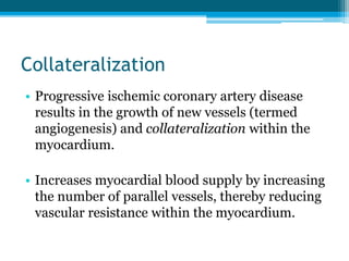 Collateralization
• Progressive ischemic coronary artery disease
results in the growth of new vessels (termed
angiogenesis) and collateralization within the
myocardium.
• Increases myocardial blood supply by increasing
the number of parallel vessels, thereby reducing
vascular resistance within the myocardium.
 