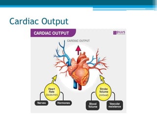 Cardiac Output
 