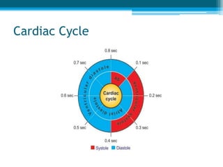 Cardiac Cycle
 