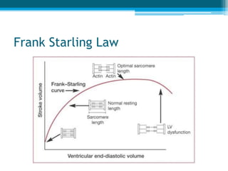 Frank Starling Law
 