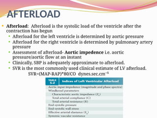 CARDIAC PHYSIOLOGYhhhhhhgkkkkkkllllll.pptx