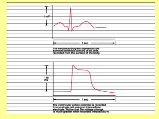 Physiology of Cardiac muscle and function.ppt