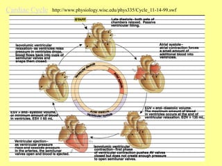 Physiology of Cardiac muscle and function.ppt