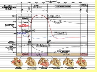 Physiology of Cardiac muscle and function.ppt