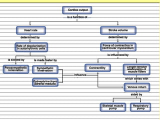 Physiology of Cardiac muscle and function.ppt