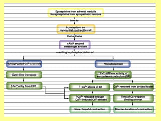 Physiology of Cardiac muscle and function.ppt