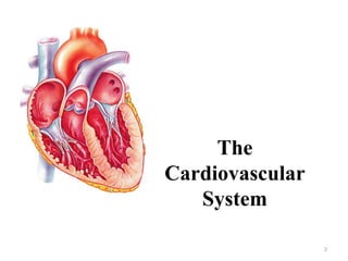 2
The
Cardiovascular
System
 