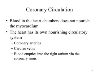 24
Coronary Circulation
• Blood in the heart chambers does not nourish
the myocardium
• The heart has its own nourishing circulatory
system
– Coronary arteries
– Cardiac veins
– Blood empties into the right atrium via the
coronary sinus
 